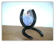 Single horseshoe picture frame